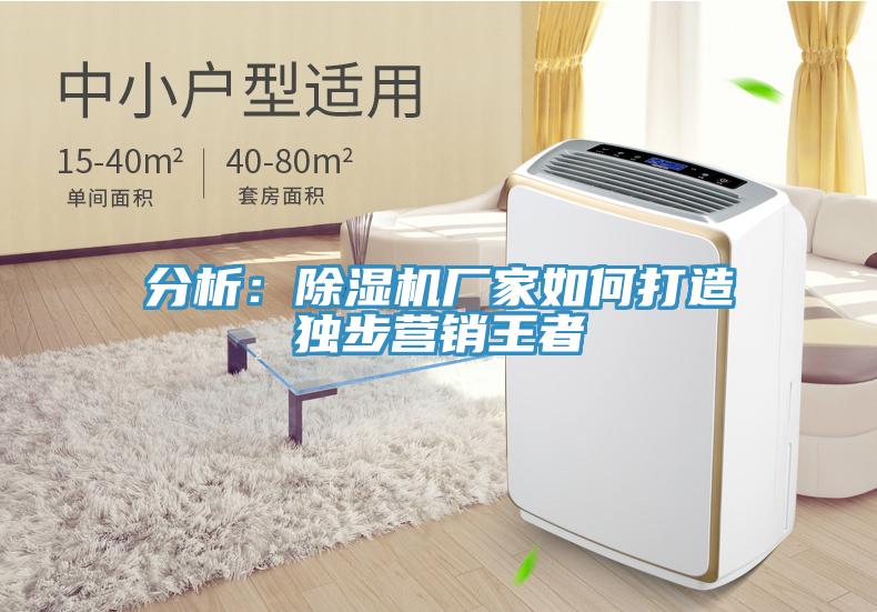 分析：除濕機(jī)廠家如何打造獨步營銷王者